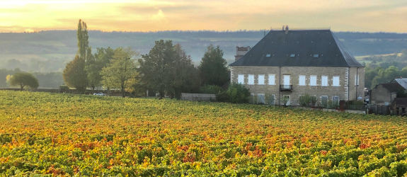 Savoir-faire familiale Domaine Fleurot Larose